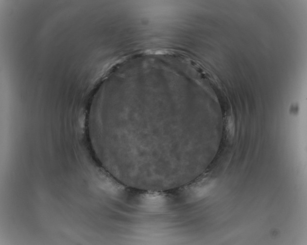 X0000091950668200709201323