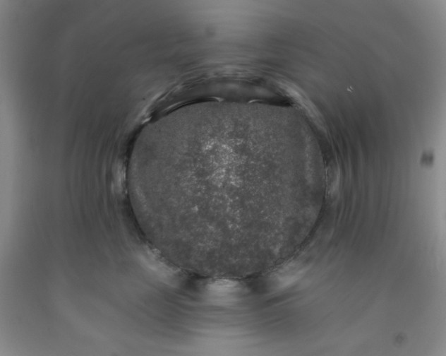 X0000091950669200709201323