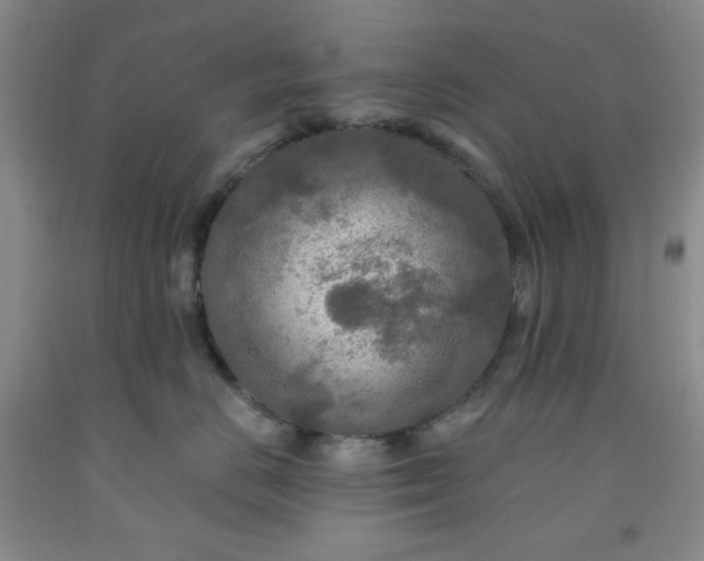 X0000091950670200709201323