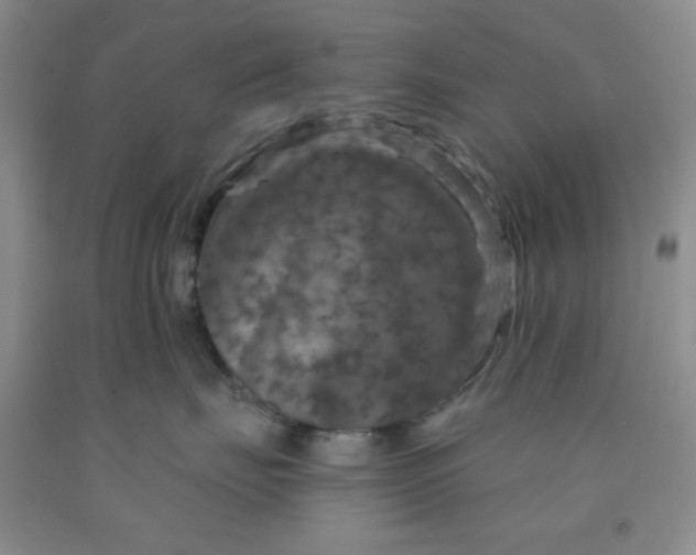 X0000091950671200709201324