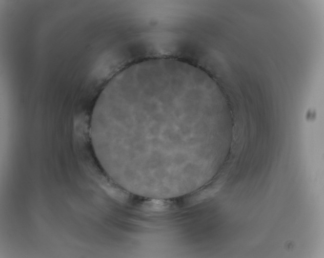 X0000091950672200709201324