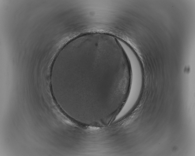 X0000091950673200709201323