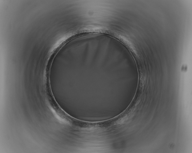 X0000091950674200709201323