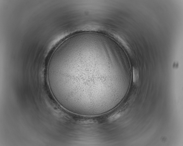 X0000091950675200709201323