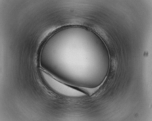 X0000091950676200709201323