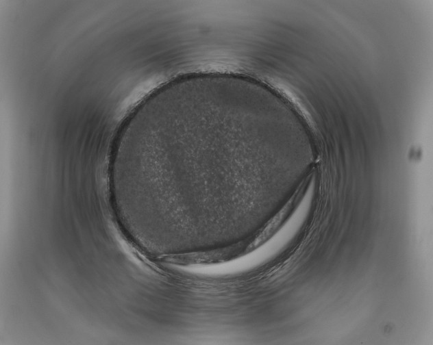 X0000091950677200709201323