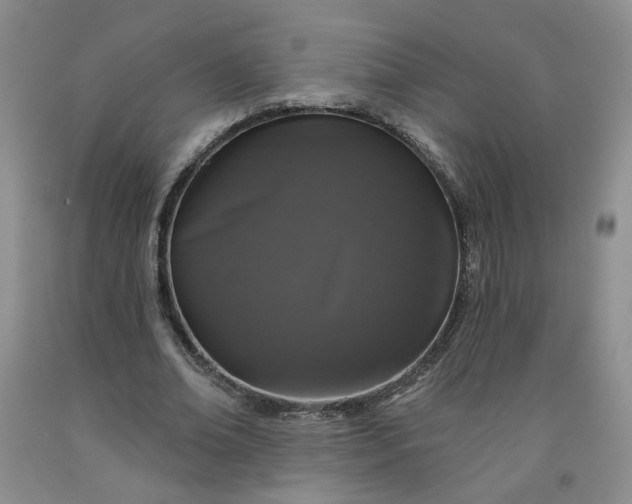 X0000091950678200709201323