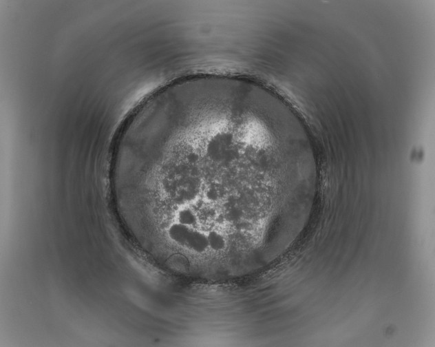 X0000091950679200709201323