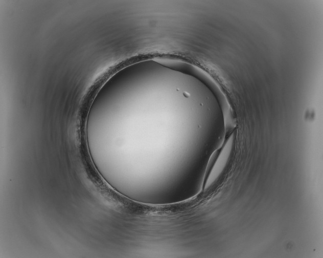 X0000091950680200709201323