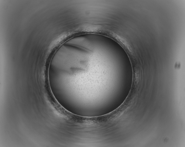 X0000091950682200709201323