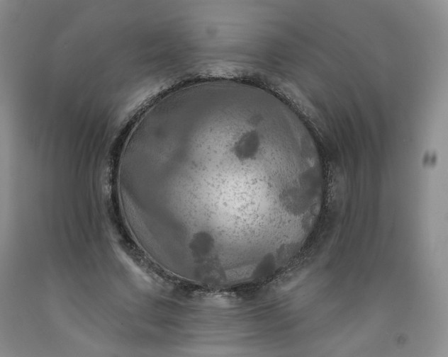 X0000091950683200709201323