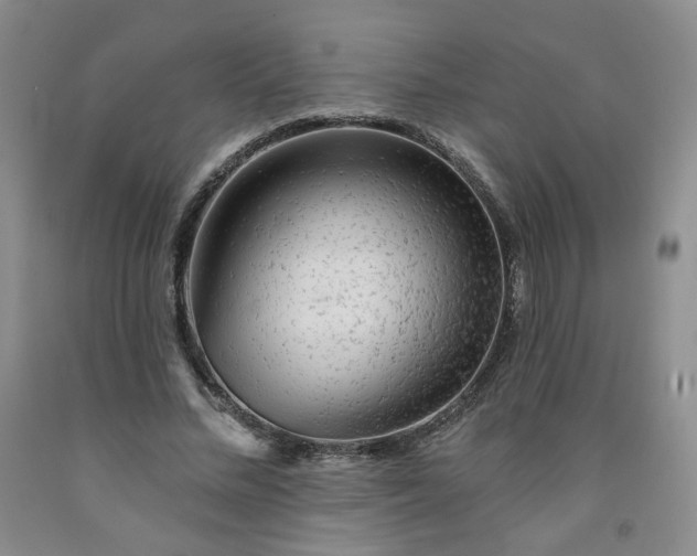 X0000091950684200709201323