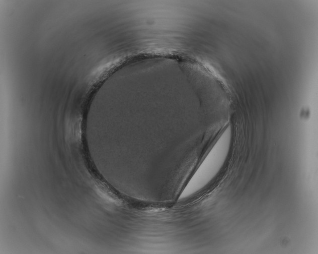 X0000091950685200709201323