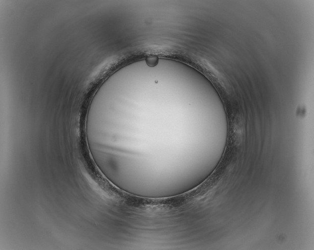 X0000091950686200709201323