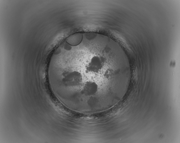 X0000091950687200709201323