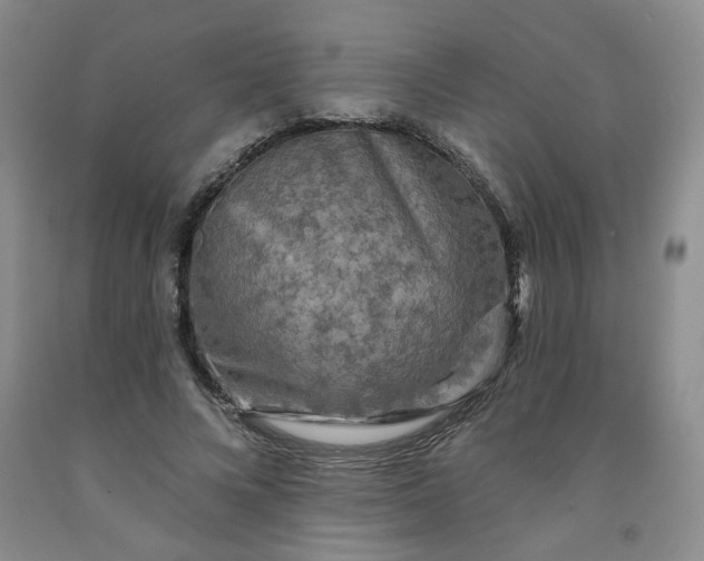 X0000091950688200709201323