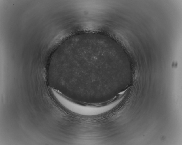 X0000091950689200709201323