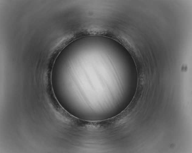 X0000091950690200709201323