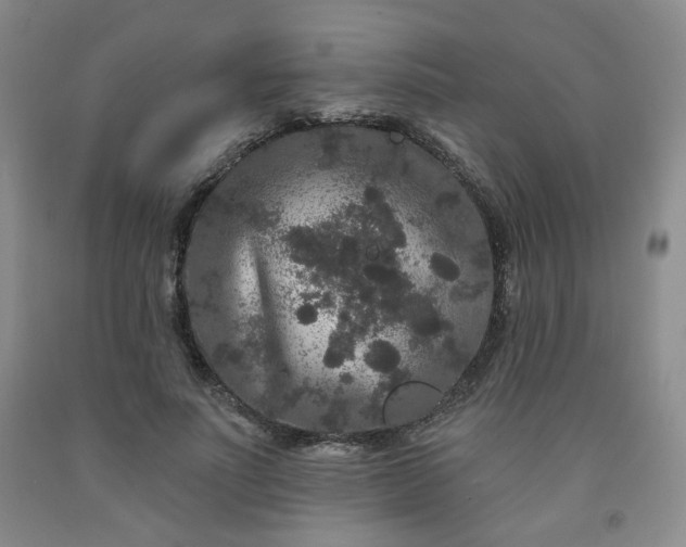 X0000091950691200709201323