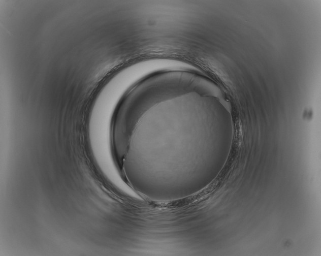 X0000091950692200709201323