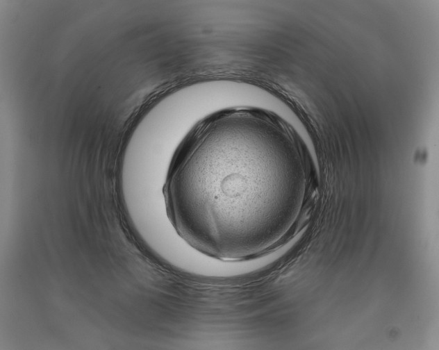 X0000091950693200709201323