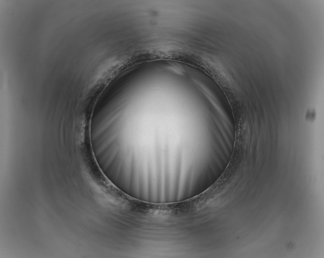 X0000091950694200709201323