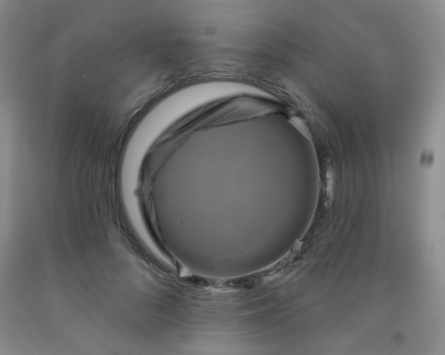 X0000091950696200709201323