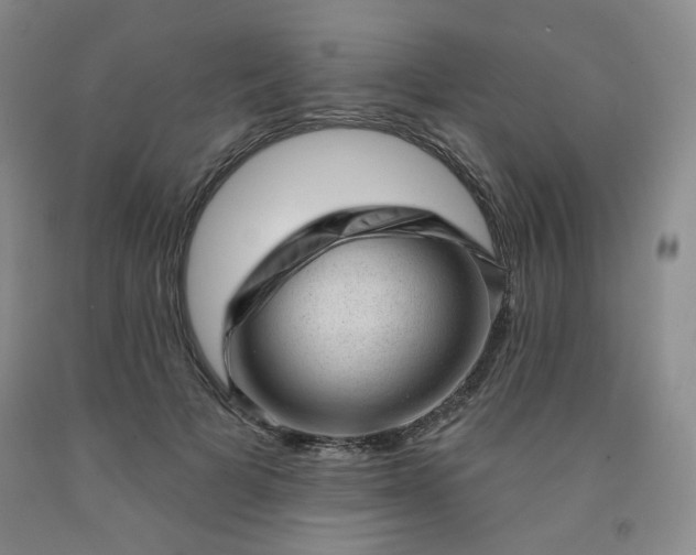 X0000091950697200709201323