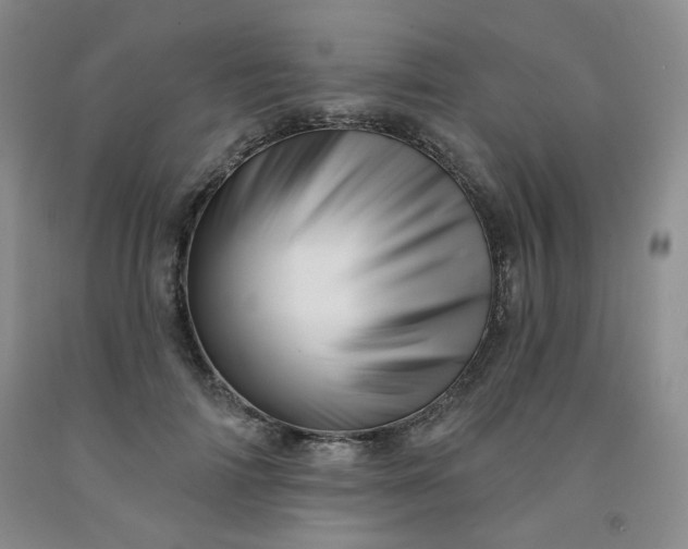 X0000091950698200709201323