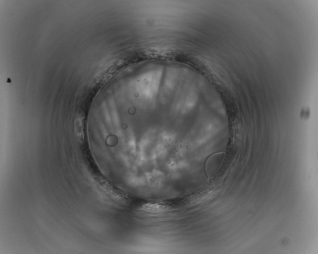 X0000091950699200709201323