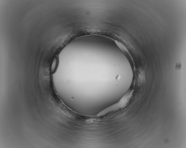 X0000091950700200709201323