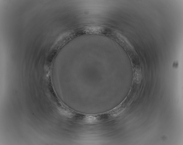 X0000091950701200709201323