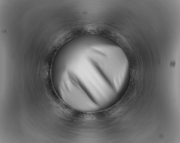 X0000091950702200709201323