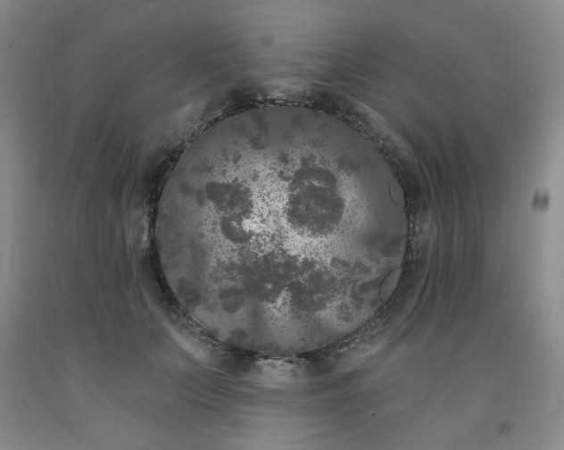 X0000091950703200709201323