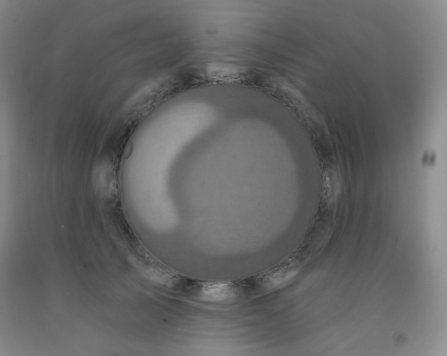 X0000091950705200709201323