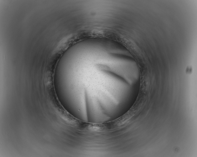 X0000091950706200709201323