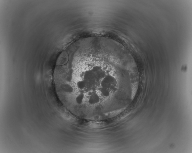 X0000091950707200709201323