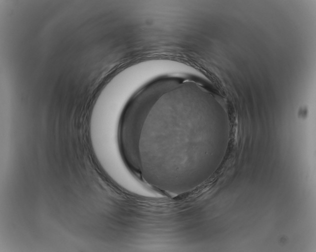 X0000091950708200709201322