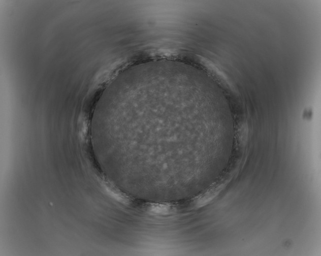 X0000091950709200709201322