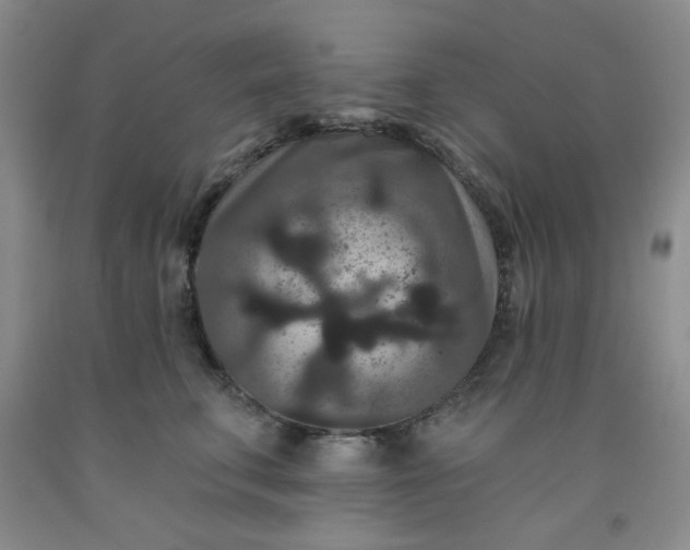 X0000091950711200709201322