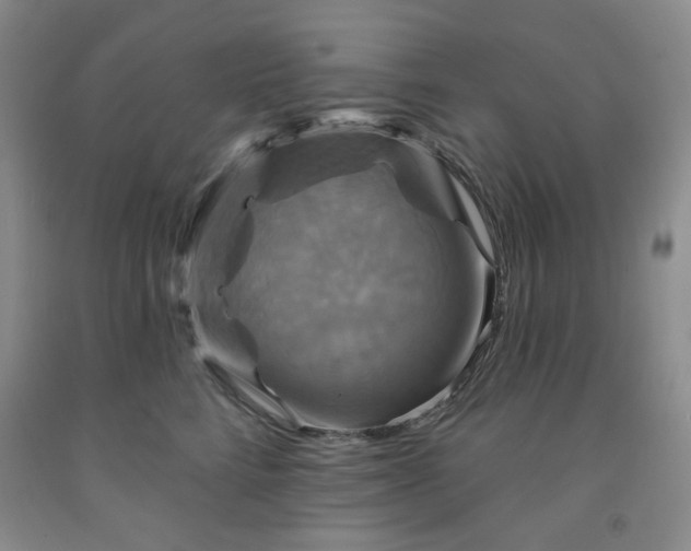 X0000091950712200709201322