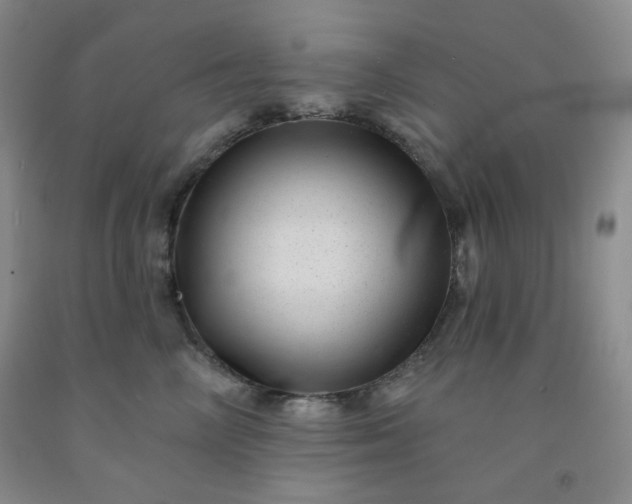 X0000091950714200709201322