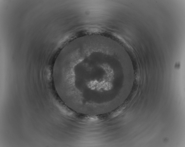 X0000091950715200709201322