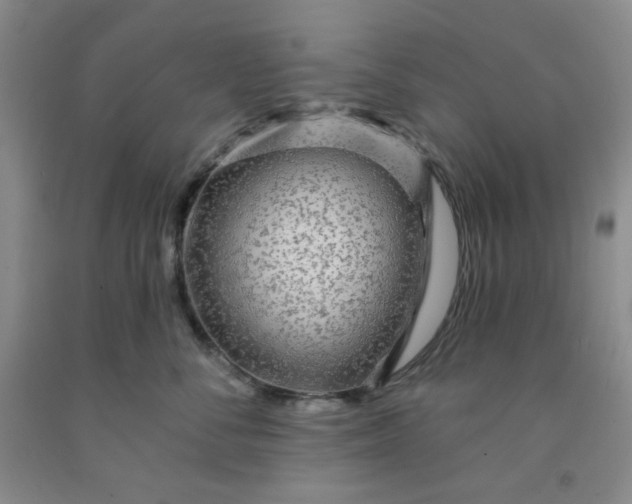 X0000091950716200709201322