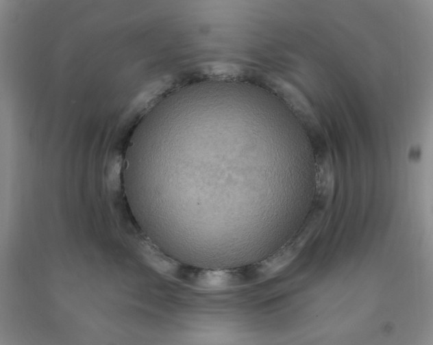 X0000091950717200709201322