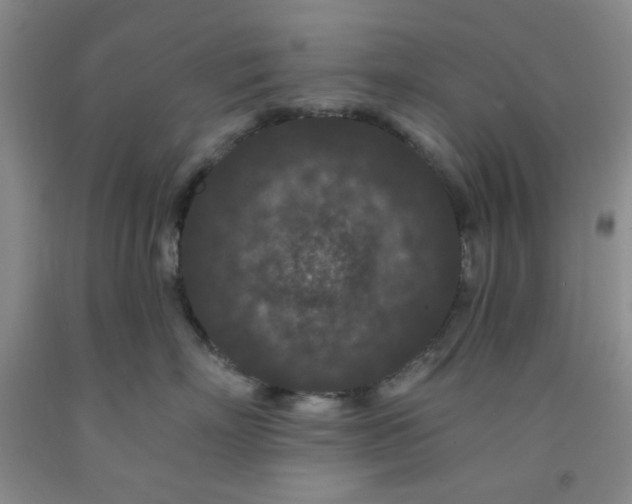 X0000091950718200709201322