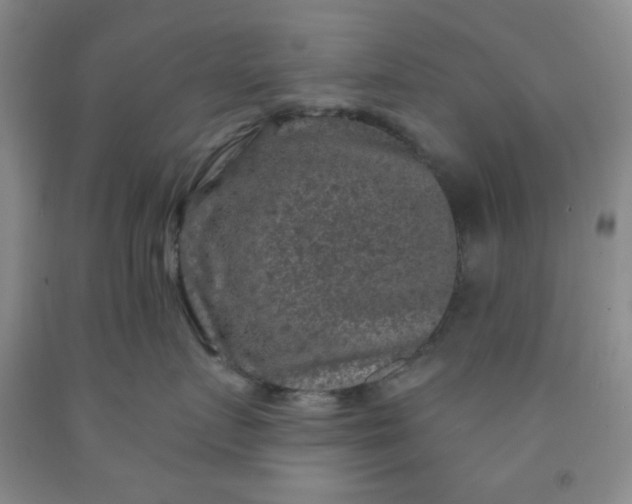 X0000091950719200709201322