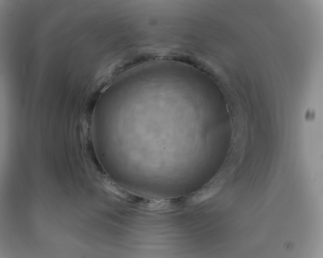 X0000091950720200709201322