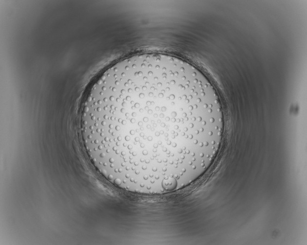 X0000091950721200709201322