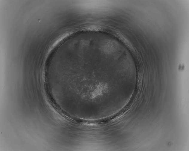 X0000091950722200709201322